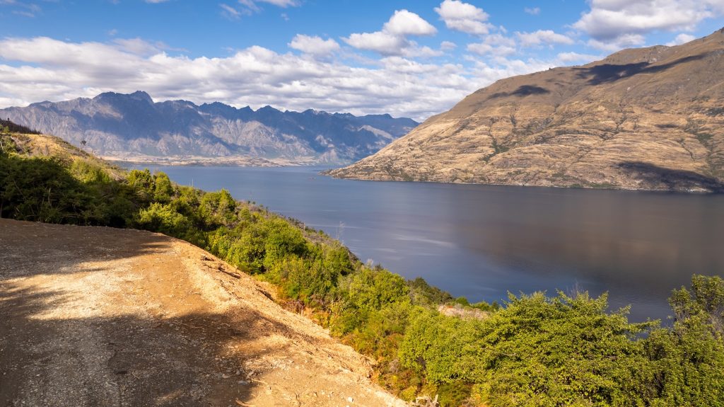 12 Forestlines Rise, Queenstown