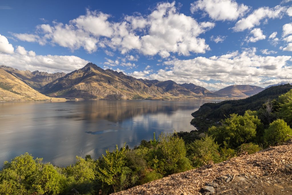 12 Forestlines Rise, Queenstown