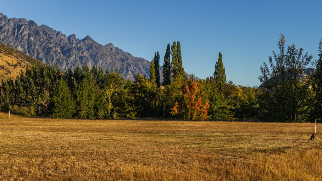 111 Fitzpatrick Road, Queenstown